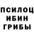 Псилоцибиновые грибы мухоморы Dashi :3