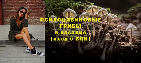 хмурый Балахна