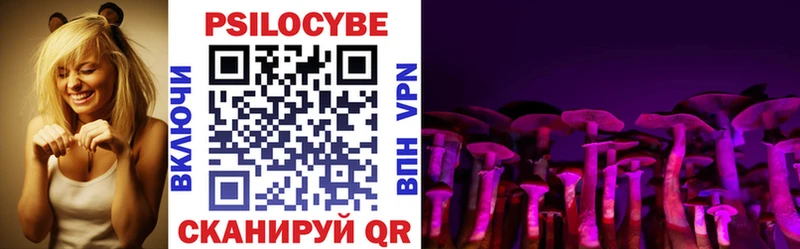 купить   Иноземцево  Галлюциногенные грибы GOLDEN TEACHER 
